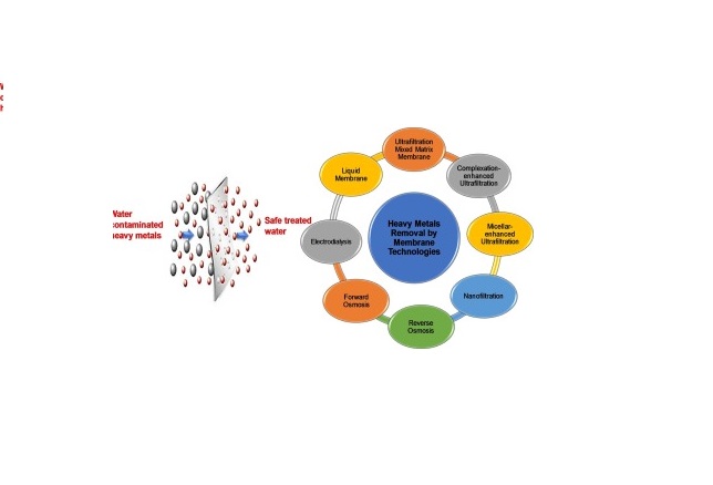 حذف فلزات سنگین از فاضلاب